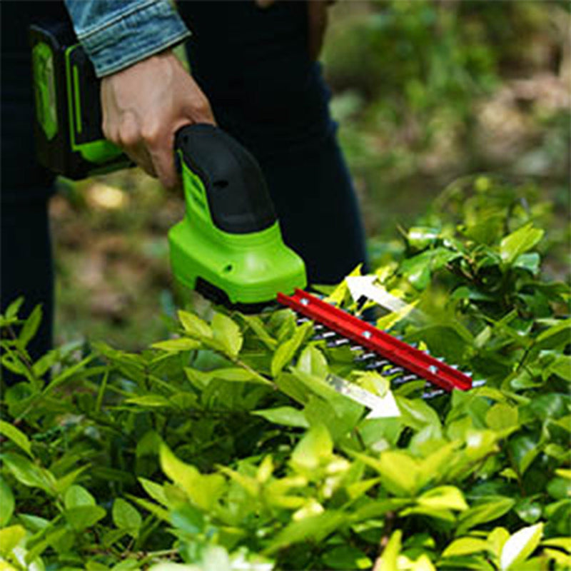 24V Gras- und Strauchschere 2-in-1 - 2Ah Akku