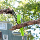 24V Hochentaster - 2Ah Akku