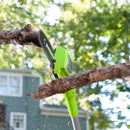 40V Hochentaster - 2Ah Akku